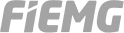 fiemg